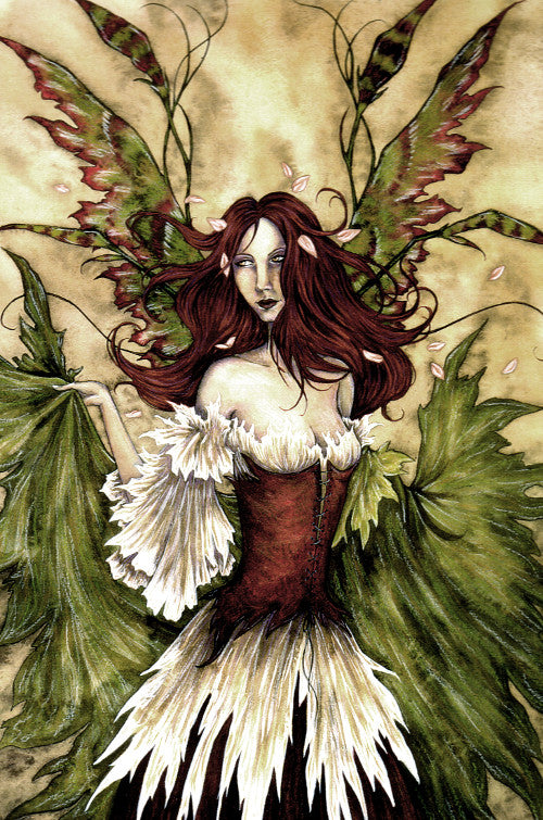 Amy Brown Bewitching II Signed Fairy Print, 11 x 14