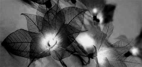 Black Flower Skeleton Leaves String Lights -- 9 Feet in Length