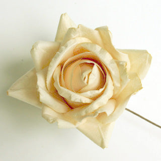5 Cream Bendable Handmade Parchment Paper Long Wired Stemmed Roses