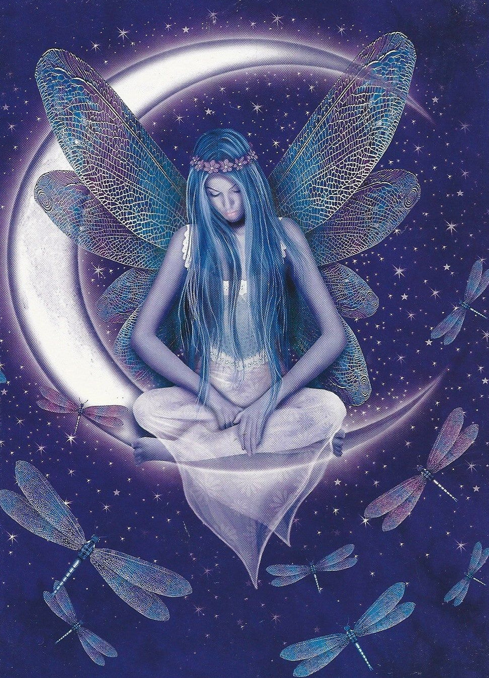 Michael McGloin Dragonfly Moon Fairy Greeting Card