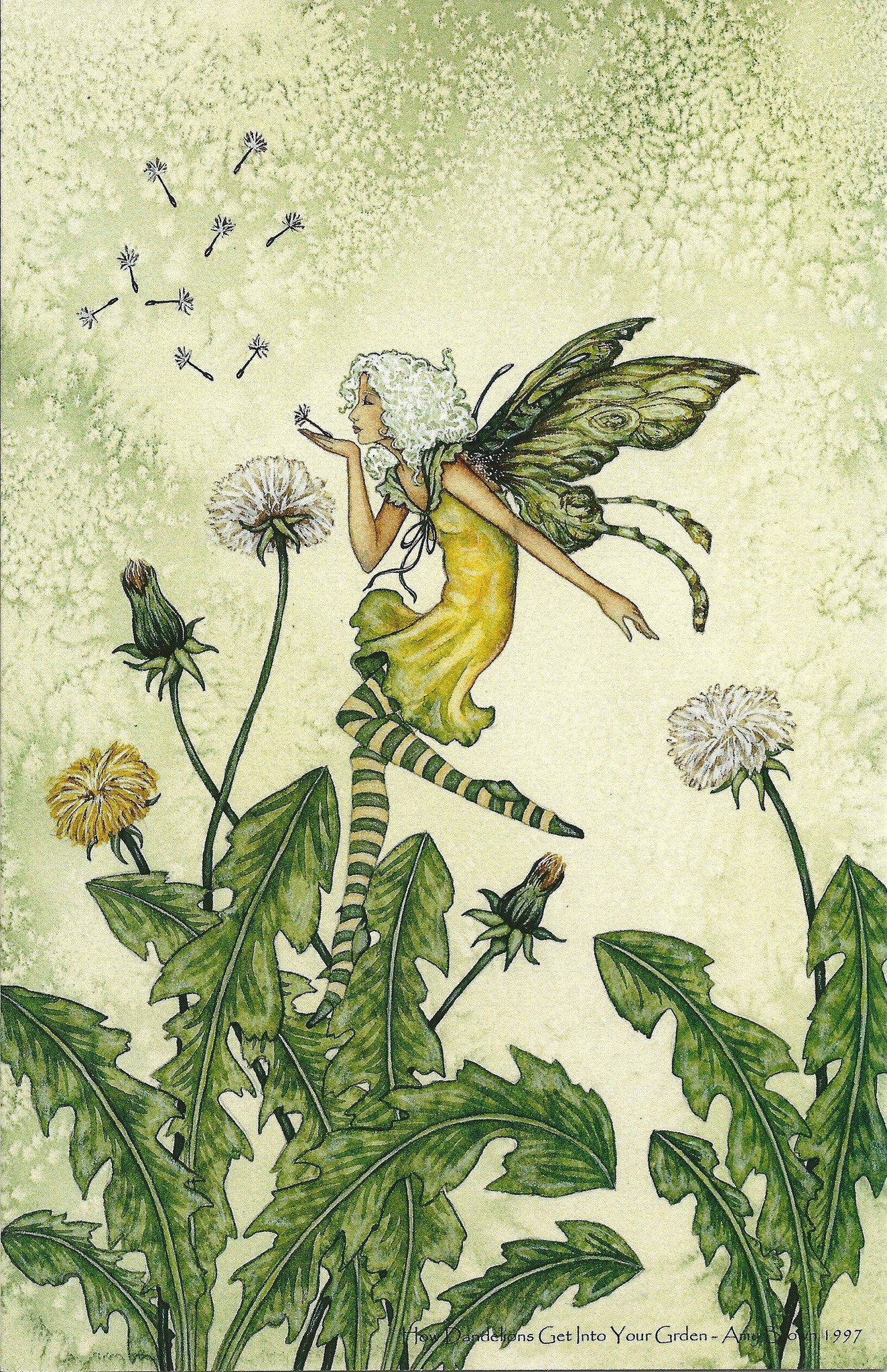 Amy Brown How Dandelions Grow in your Garden Fairy Print -- 11 x 17