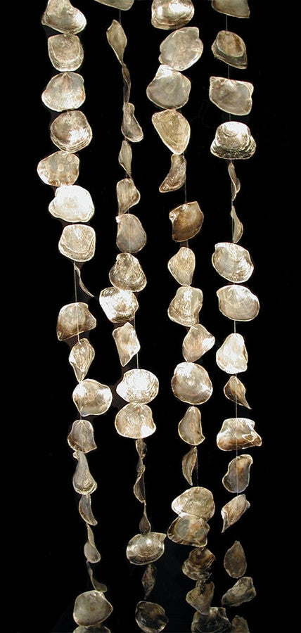 8' Long Placuna Oyster Large Shells Strand