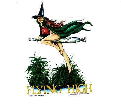 Peter Pracownik Witch Flying High Broomstick Sticker