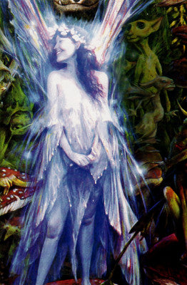 Brian Froud The Faery Who Was Kissed by the Pixies Fairy Note Card