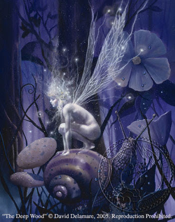 David Delamare Deep Wood Fairy + Snail Print