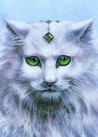 Susan Dawe Emerald Eyes Cat Greeting Card