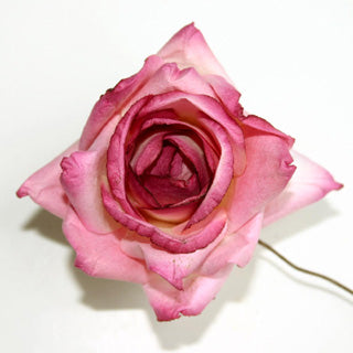 5 Vintage Pink Bendable Handmade Parchment Paper Long Wired Stemmed Roses
