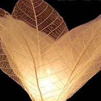 Natural Flower Skeleton Leaves String Lights -- 9 Feet in Length