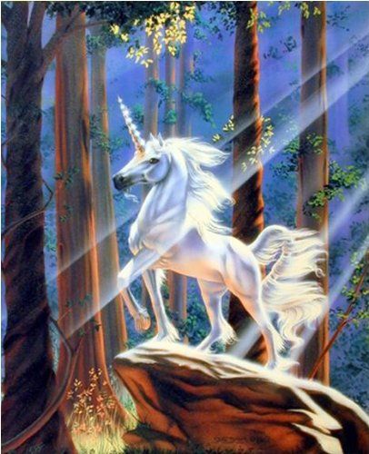 Susan Dawe Light in the Forest Unicorn Greeting Card