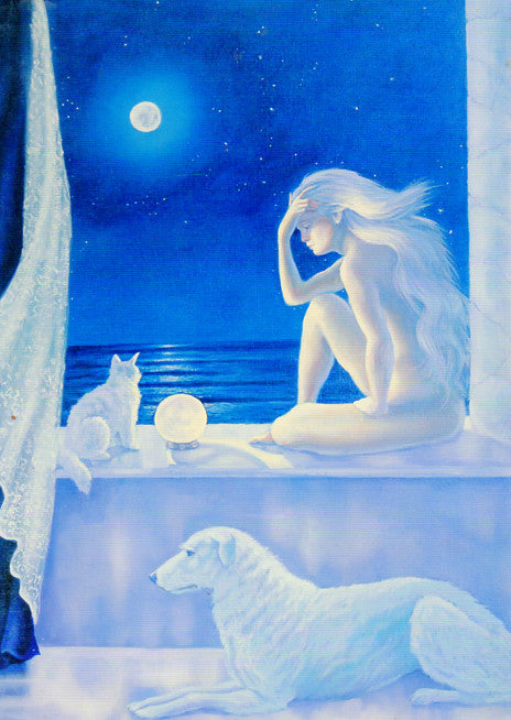 Diana Stanley Mystic Nights Greeting Card