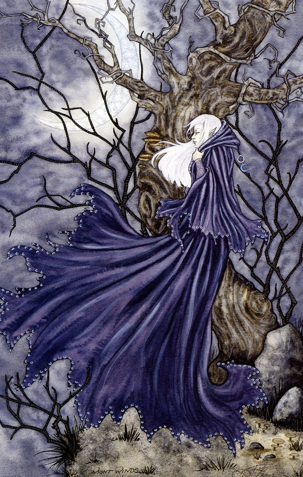Amy Brown Night Winds Fairy Print 11x17