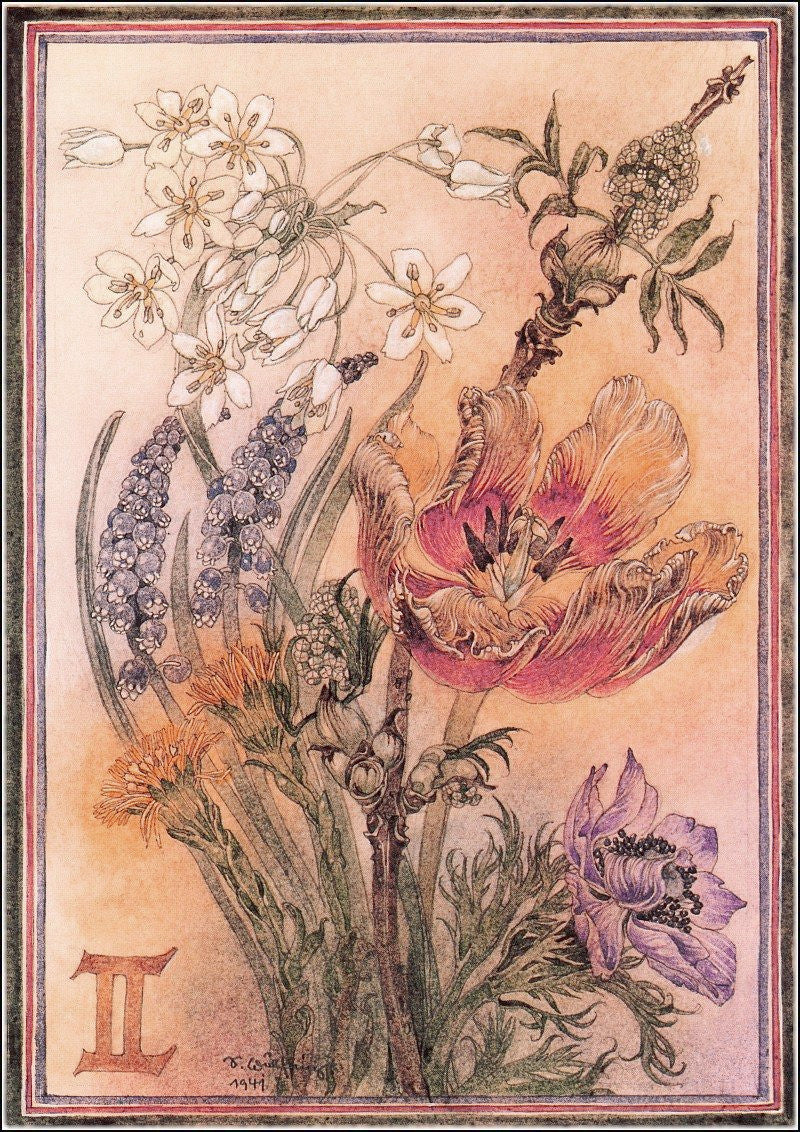 Sulamith Wulfing Summer Flowers Art Print Printed in the Netherlands