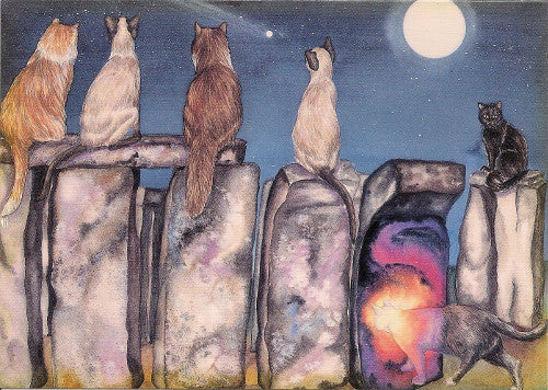 Denise Satter The Gateway Cat Greeting Card