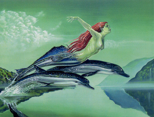 David Van Gough Tranquility Mermaid Dolphin Print