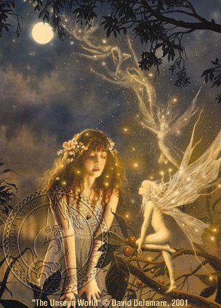 David Delamare Unseen World Fairy Print