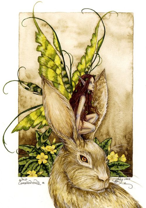 Amy Brown Wild Companions II Fairy and Rabbit Print