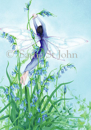 Sasha St John Signed Wild Hyacinth Fairy Print -- 12 x 17